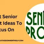 Senior Project Ideas