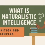 Naturalistic Intelligence