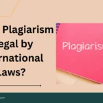 Why is Plagiarism Illegal by International Laws?