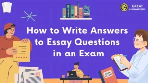 Essay Questions