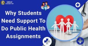 Need Support To Do Public Health Assignments