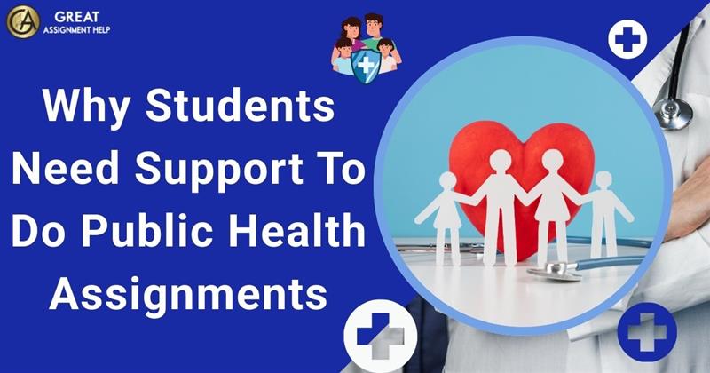 Why-Students-Need-Support-To-Do-Public-Health-Assignments.jpg