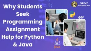 Programming Assignment Help